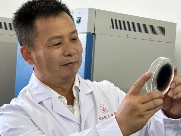 曾担任了美高美4688宣布成为阿森纳
