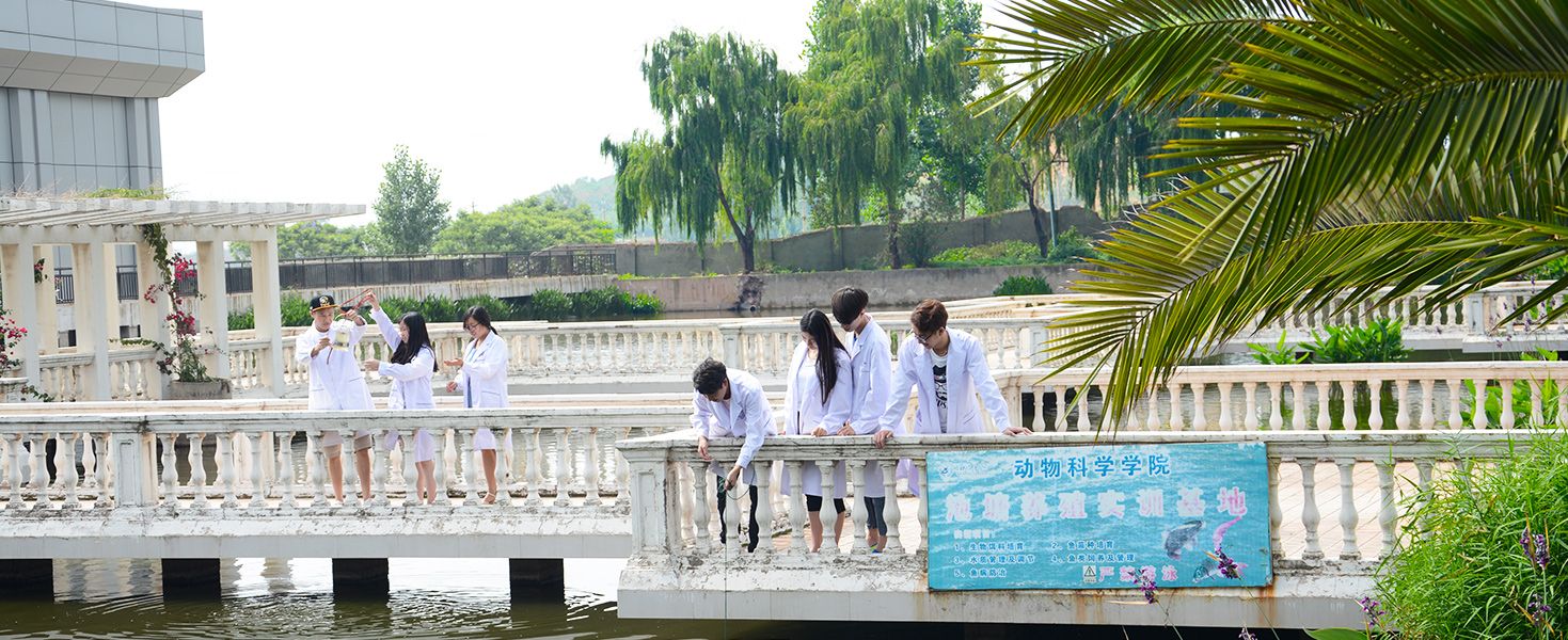 领导简介