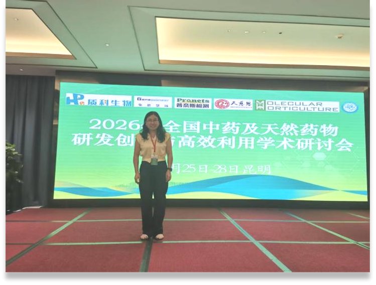 治理架构