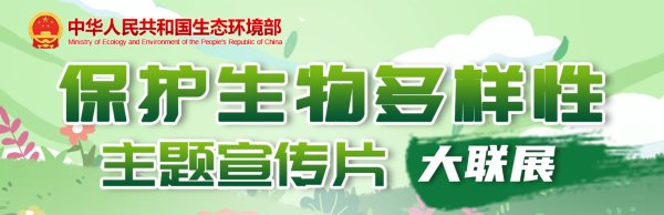 微信公众号