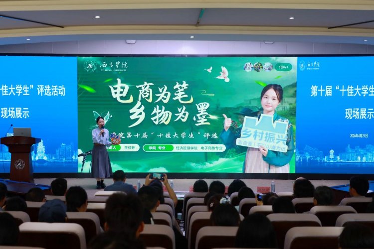 治理架构