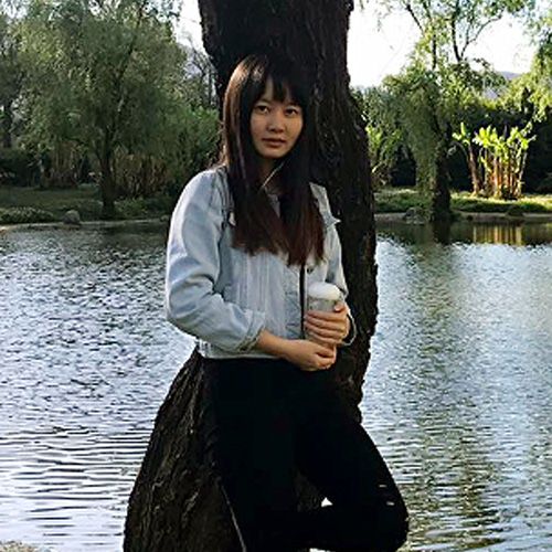 师资队伍