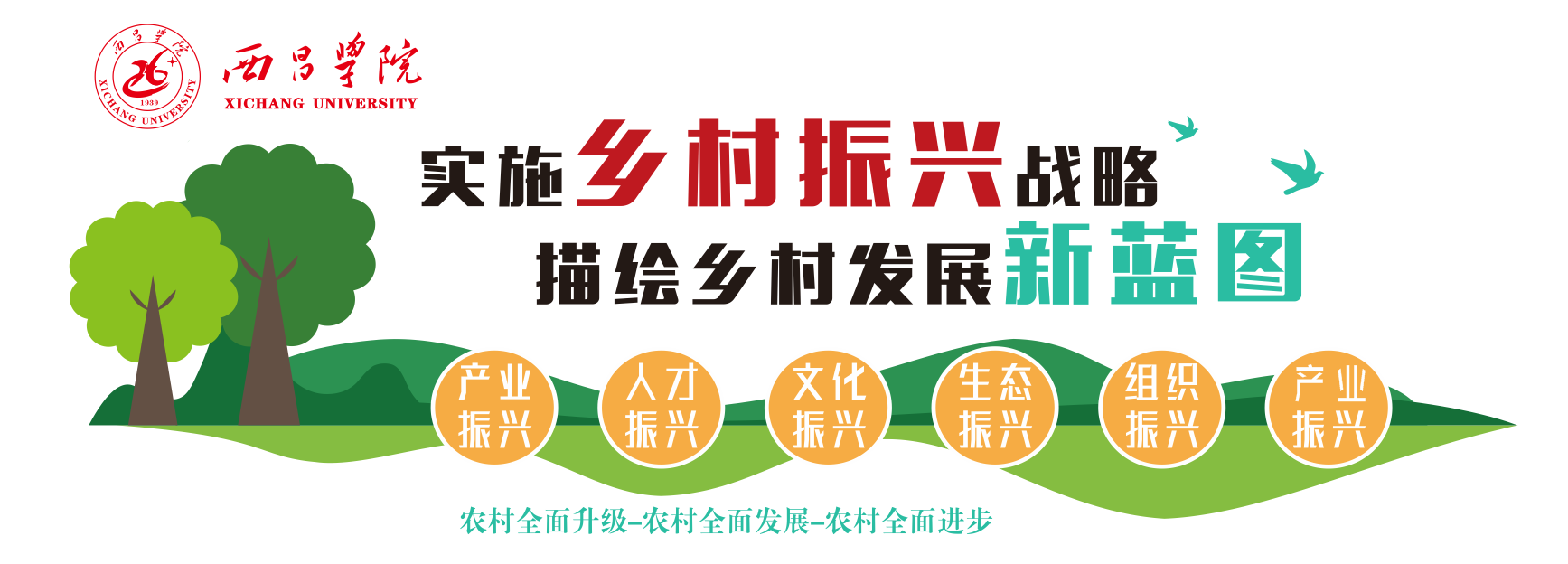 部门职责
