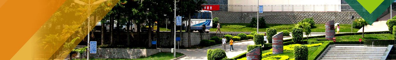 治理架构