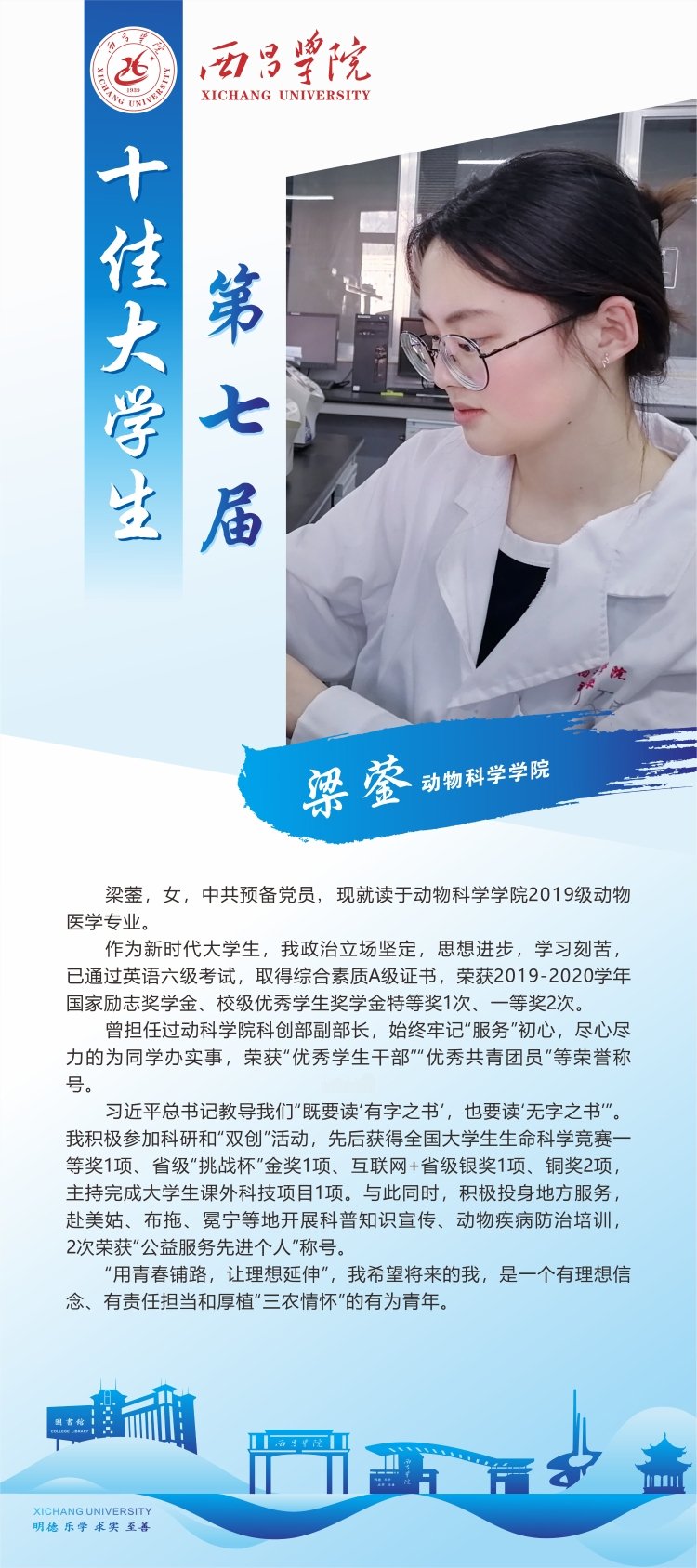 教师风采