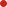 美高美4688