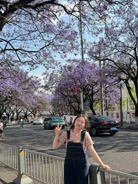 本科师资队伍