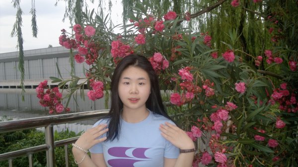 美高美游戏app下载新手怎么玩简介